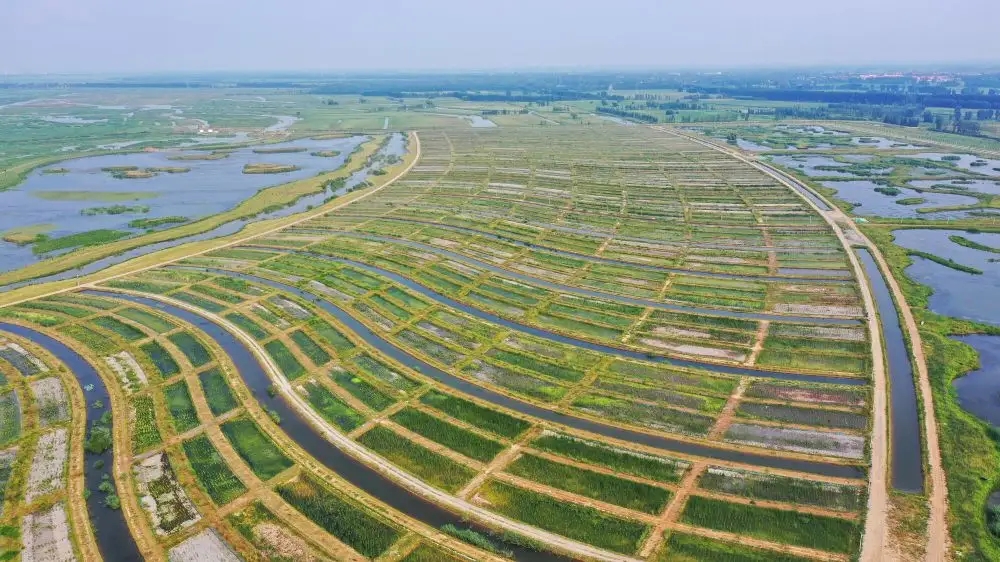 河北实施白洋淀流域水生态监测 进一步加强水生态环境保护